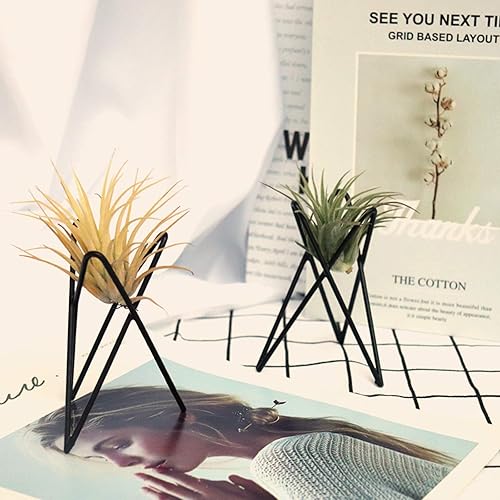 Miniatura 3 de Paquete de 4 soportes para plantas de aire, base Tillandsia, soporte geométrico moderno de metal para plantas de aire, estante de exhibición de