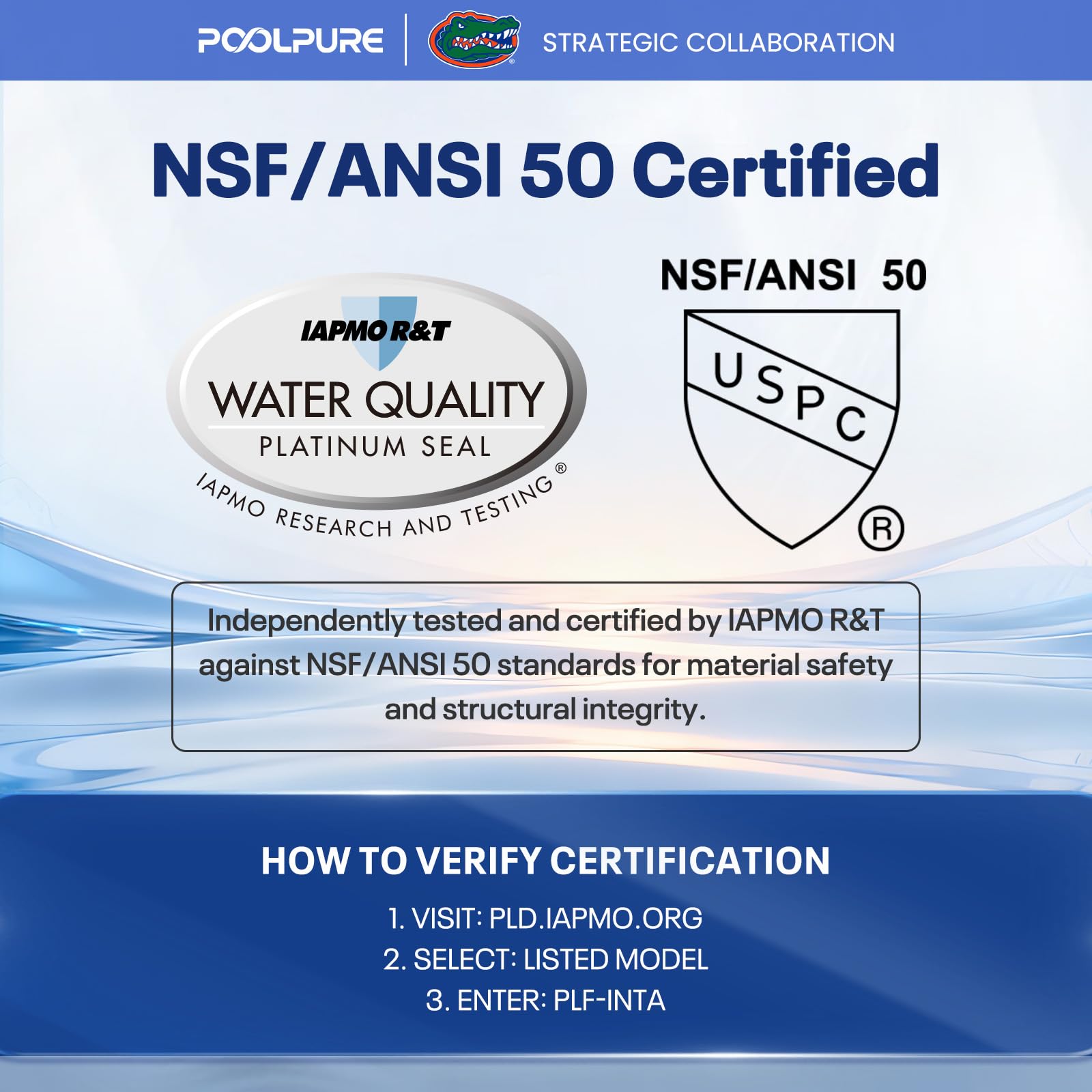POOLPURE Filtr zastępczy do typu A lub C, kompatybilny z Intex 29000E/59900E, łatwy zestaw filtrów basenowych, letnich ucieczek lub letnich fal nad basenami ziemnymi, 12 sztuk