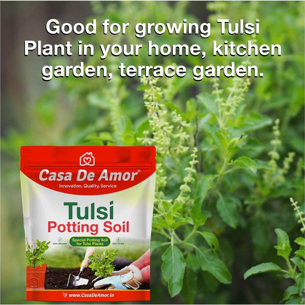 Casa De Amor Tulsi Potting Soil - Organic & Healthy -6 Casa De Amor Tulsi Potting Soil - Organic & Healthy -6