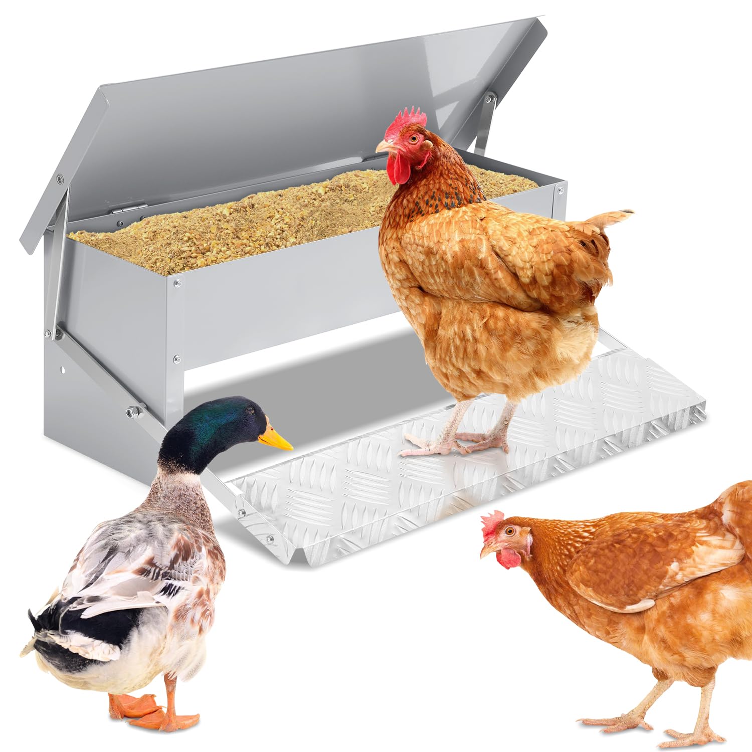 Mangiatoia automatica per polli da 5 kg, con pedale automatico, per pollame, impermeabile e antiratto