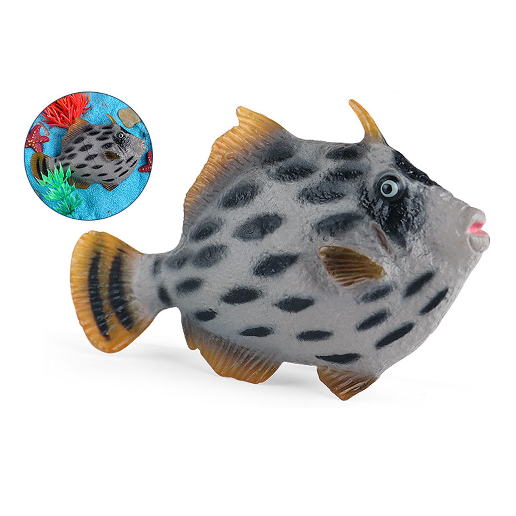 Amazon | MAIBED カワハギ フィギュア 条鰭綱 カワハギ科 熱帯 魚類 Amazon | MAIBED カワハギ フィギュア 条鰭綱 カワハギ科 熱帯 魚類