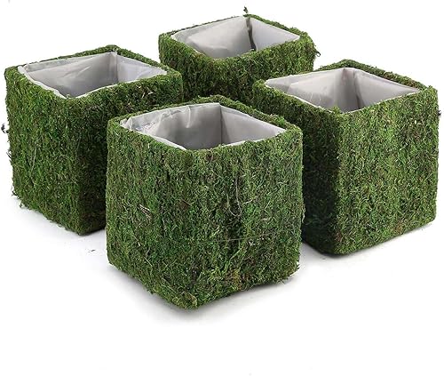 Miniatura 7 de Efavormart - Paquete de 4 macetas cuadradas preservadas de musgo cubiertas de musgo con forro interior, 6 x 6 pulgadas