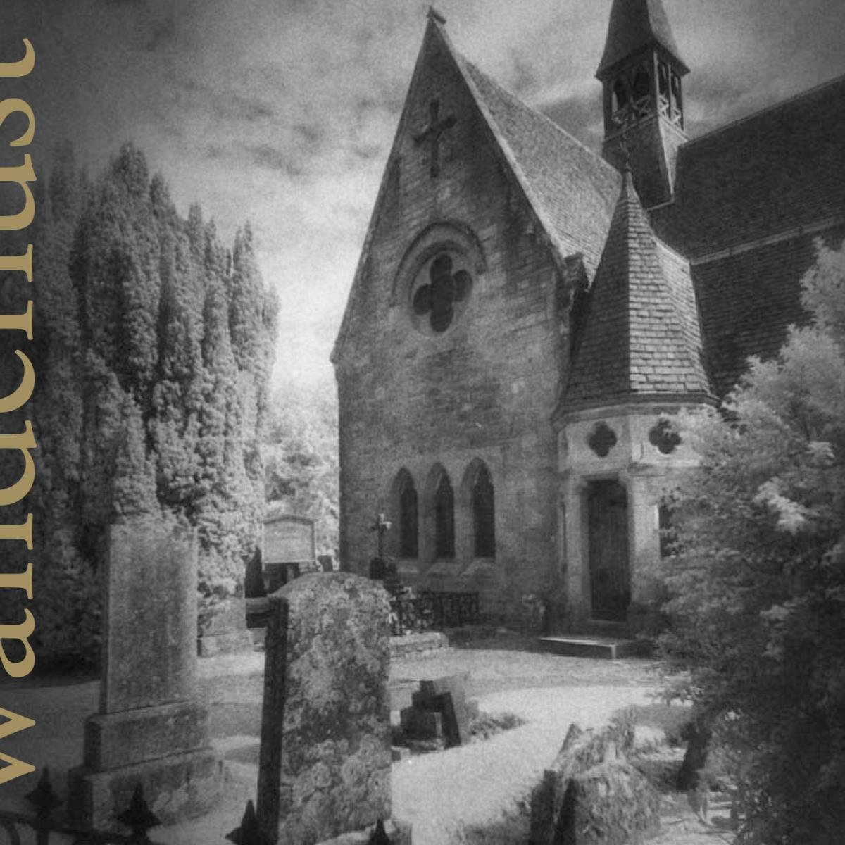 Vinyl Castle Wanderlust