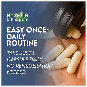 HAZEL'S Choice akkermansia probiotic 60 Capsule Bottle Vegan - Non-GMO - No Refrigeration Needed - No Preservatives probiotico akkermansia Gut-Friendly Daily Routine