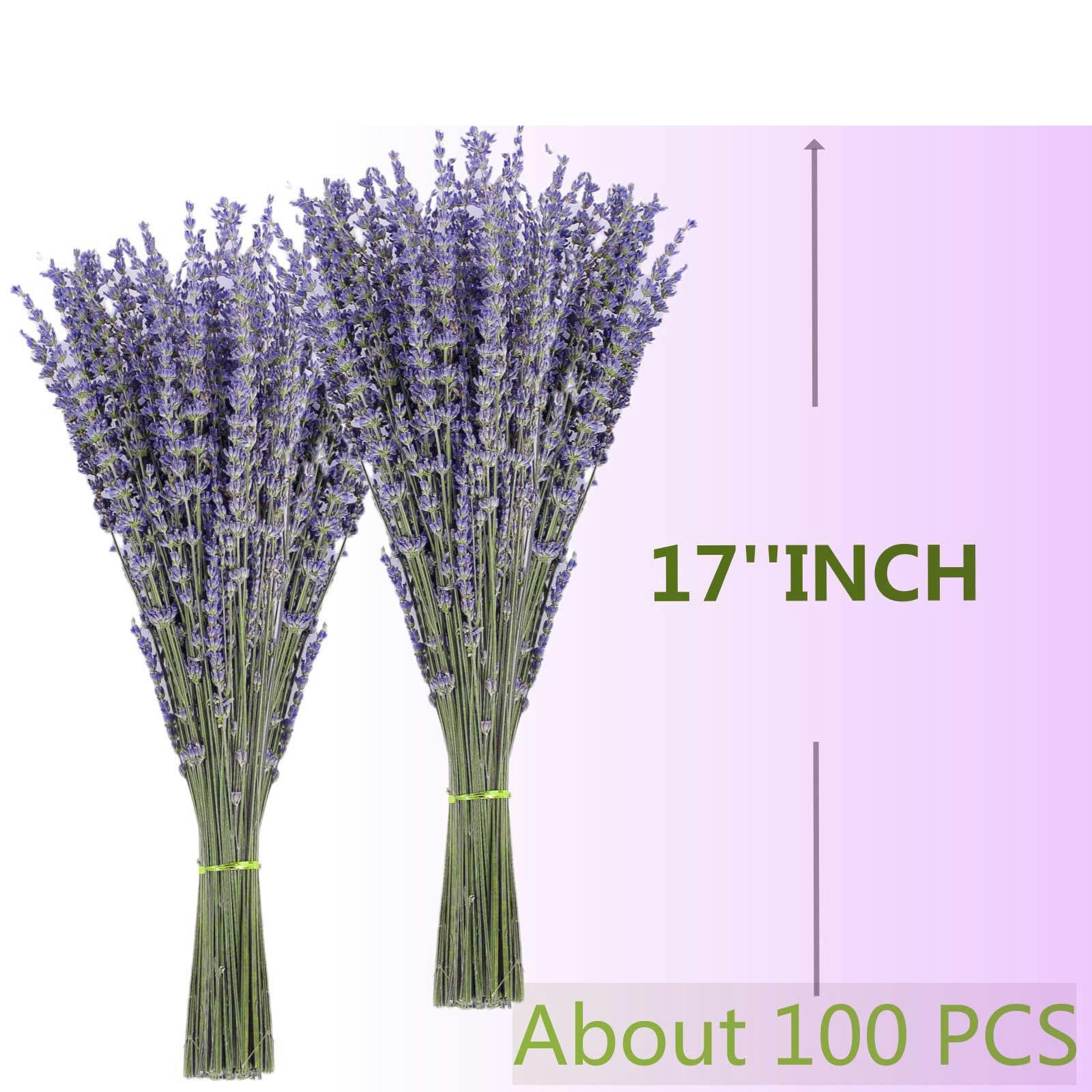 Eucalyptus &lavendel mix boeket bloemen bundel voor douche, natuurlijke