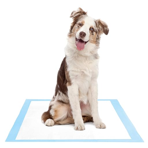 Solimo Super Absorbent Large Puppy Pads