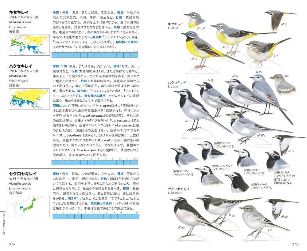 日本の野鳥図鑑等計5冊セット Amazon.com: 日本の野鳥識別図鑑: 知りたい野鳥が早見チャートで