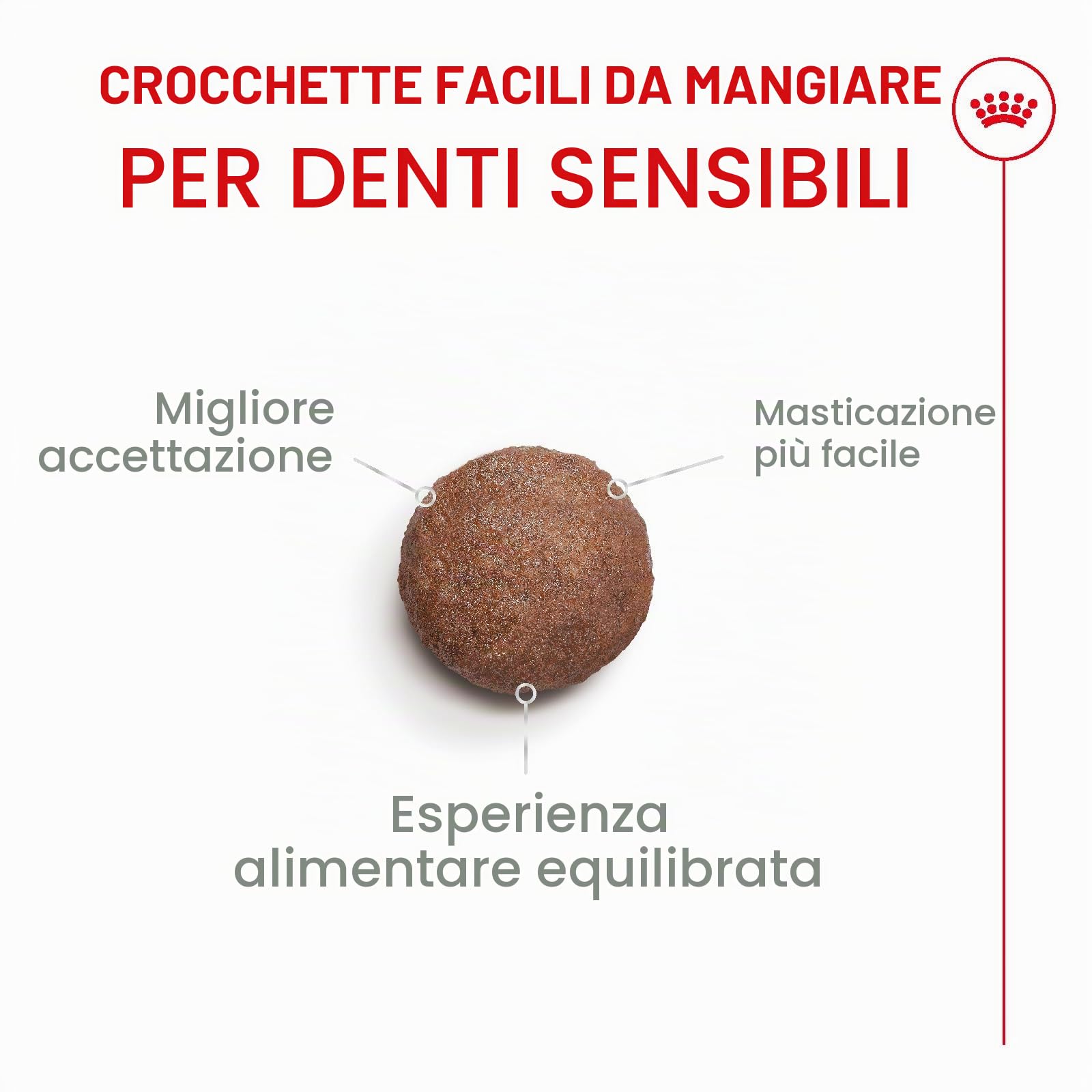 ROYAL CANIN AGEING 11+ | 4 kg | Cibo secco per gatti anziani a partire dall'11° anno di vita | Formula con il complesso HealthyAge7™ | Contiene crocchette facili da masticare
