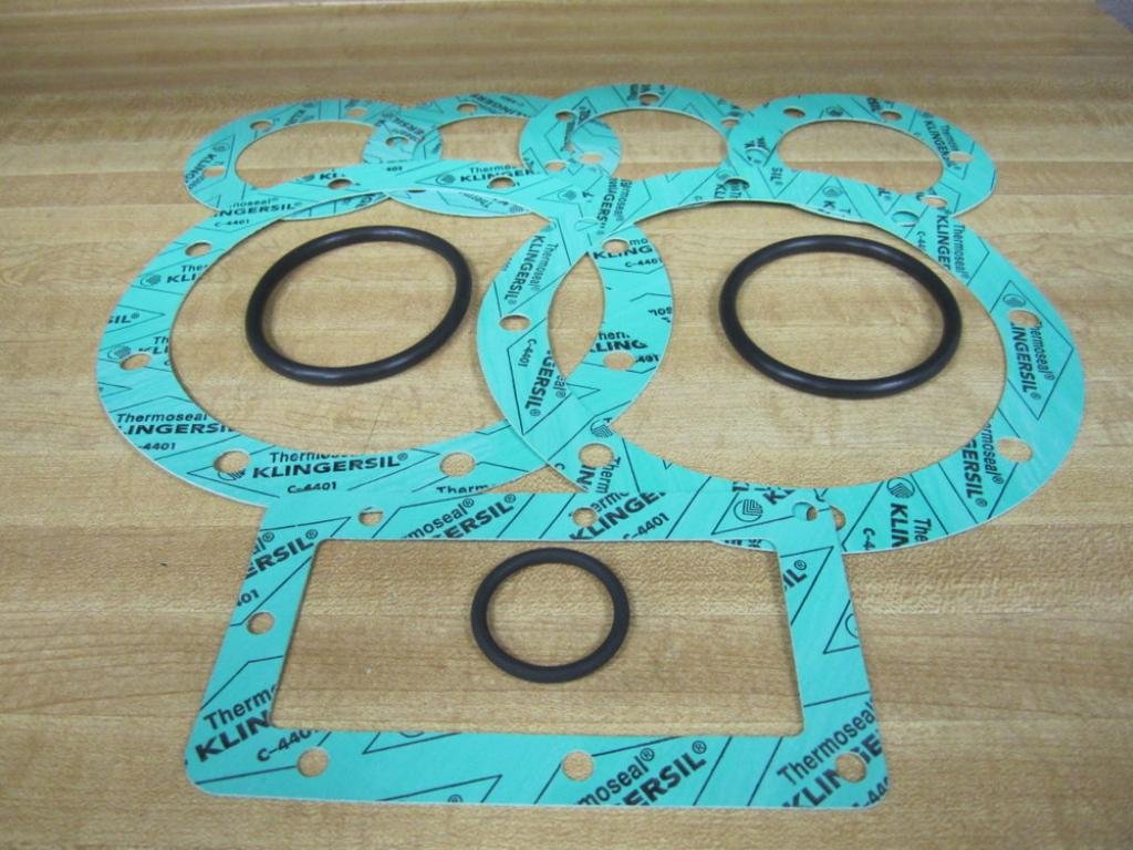 1000101417 Gasket Set C-4401