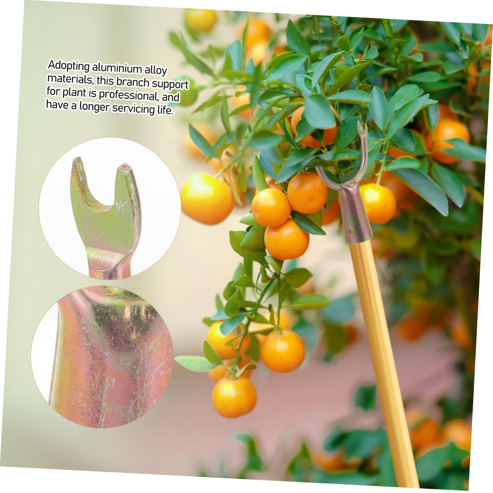 BESPORTBLE 40stücke Baumstützen Für Pflanzen Stabilisieren Sie Obstbaumäste Mit Robustem Eisenmaterial Für Garten Und Obstplantagen Langlebig Und Praktisch