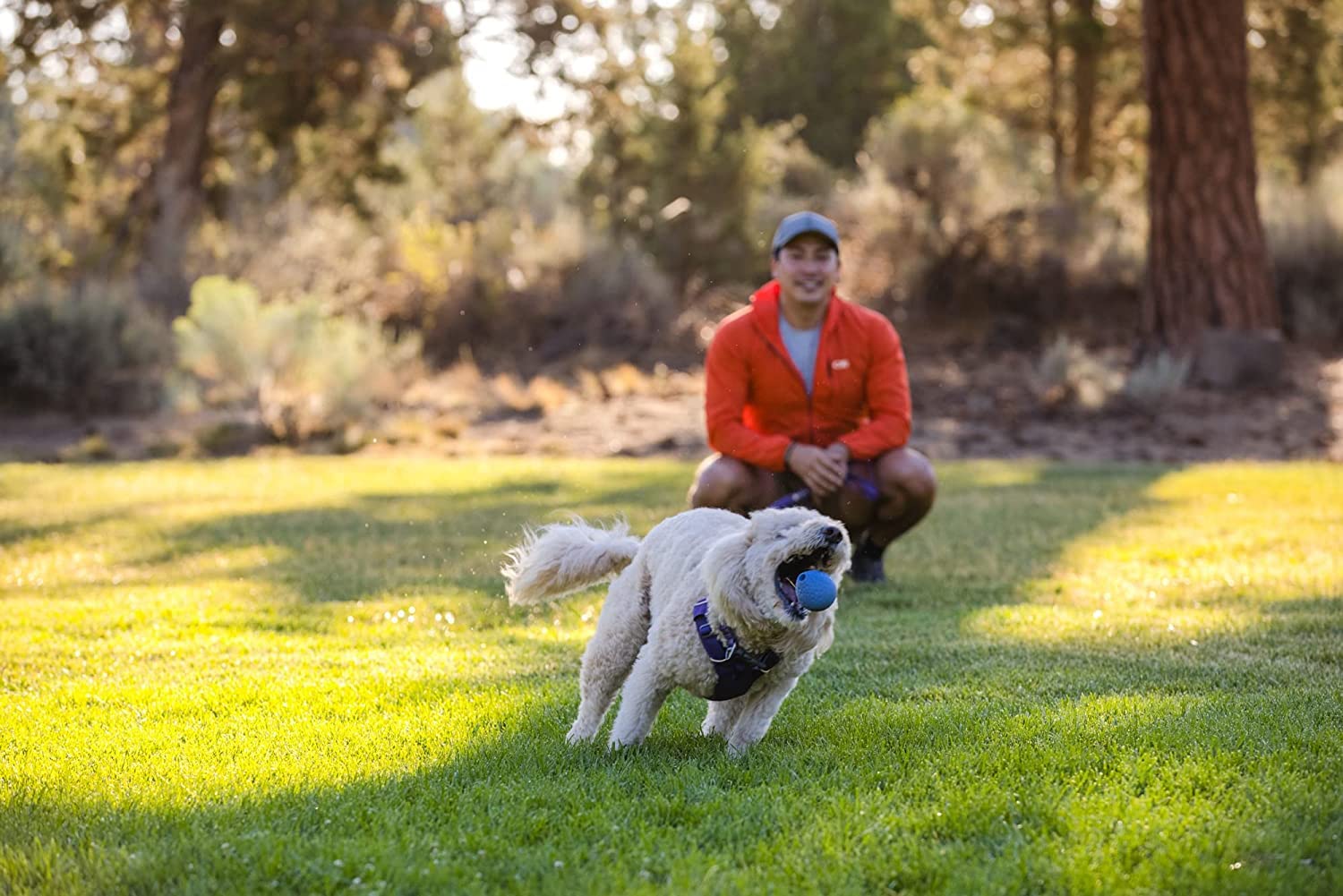 Amazon | RUFFWEAR(ラフウェア) ターンアップ ヘリオトロープパープル