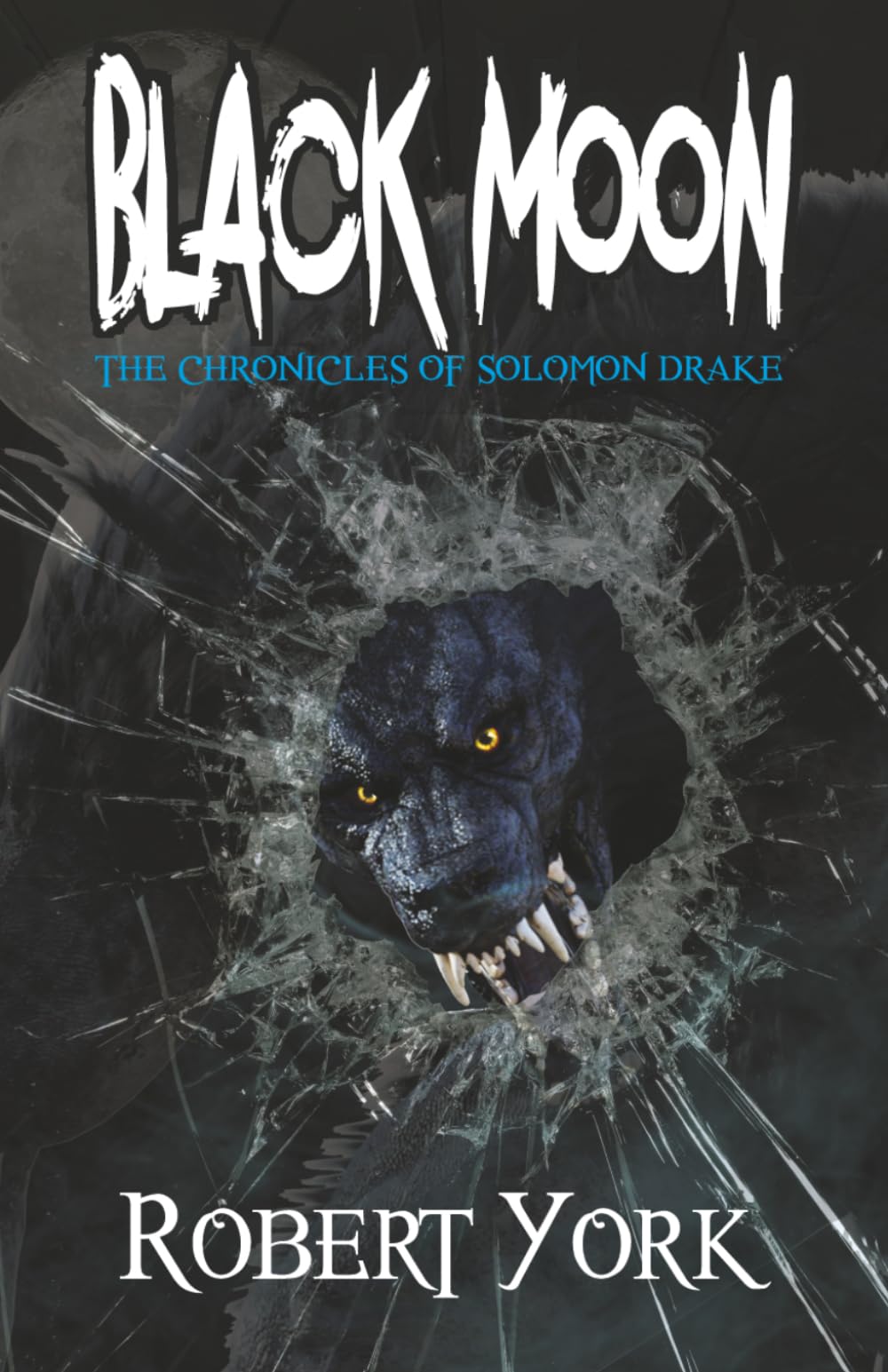 BLACK MOON: The Chronicles of Solomon Drake