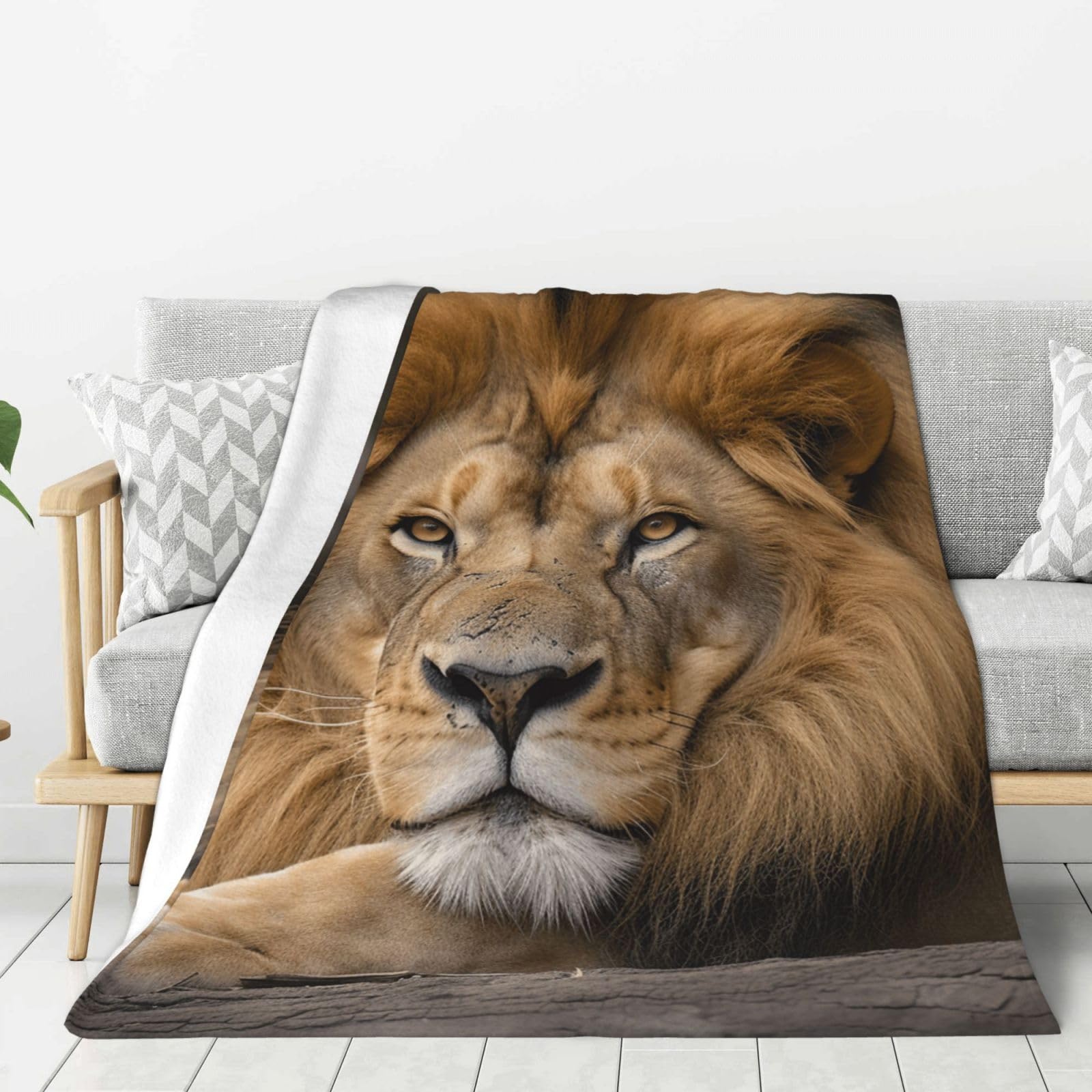 Lion Resting Free Stock Throw Blanket Plush Flannel Fleece Blanket, Soft Lightweight Cozy Blankets 40"X30" for Bed Couch Sofa Travel