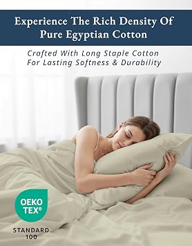 LANE LINEN Queen Sheets Deep Pocket 100% Egyptian Cotton Swiss Dot Sateen Weave Jacquard Oeko-Tex Certified Deep Pocket 4 Piece Soft Breathable Hotel Luxury Machine Washable - Linen