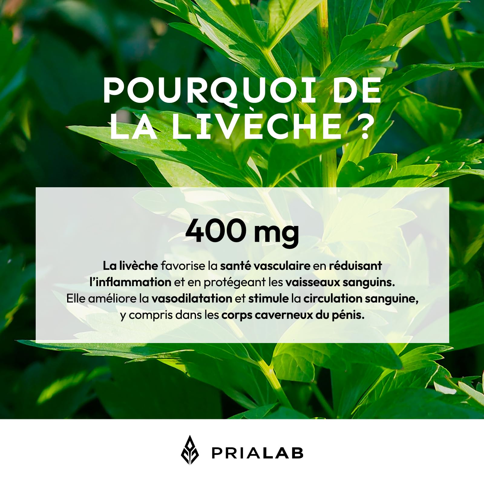 Iron Erect | Formule Virilité Homme | Tribulus, Safran, Ginseng, L-Arginine et Ginkgo | Energie | Aphrodisiaque Puissant | Circulation Sanguine | 60 Comprimés Vegan & Made in France | Prialab
