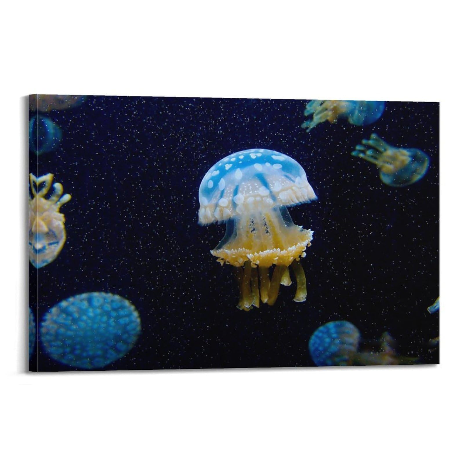MJZLQN Marine Animal Poster Cannonball Jellyfish on The Seabed Poster Decorative Painting Canvas Wall Posters And Art Picture Print Modern Family Bedroom Decor Posters 16x24inch(40x60cm)