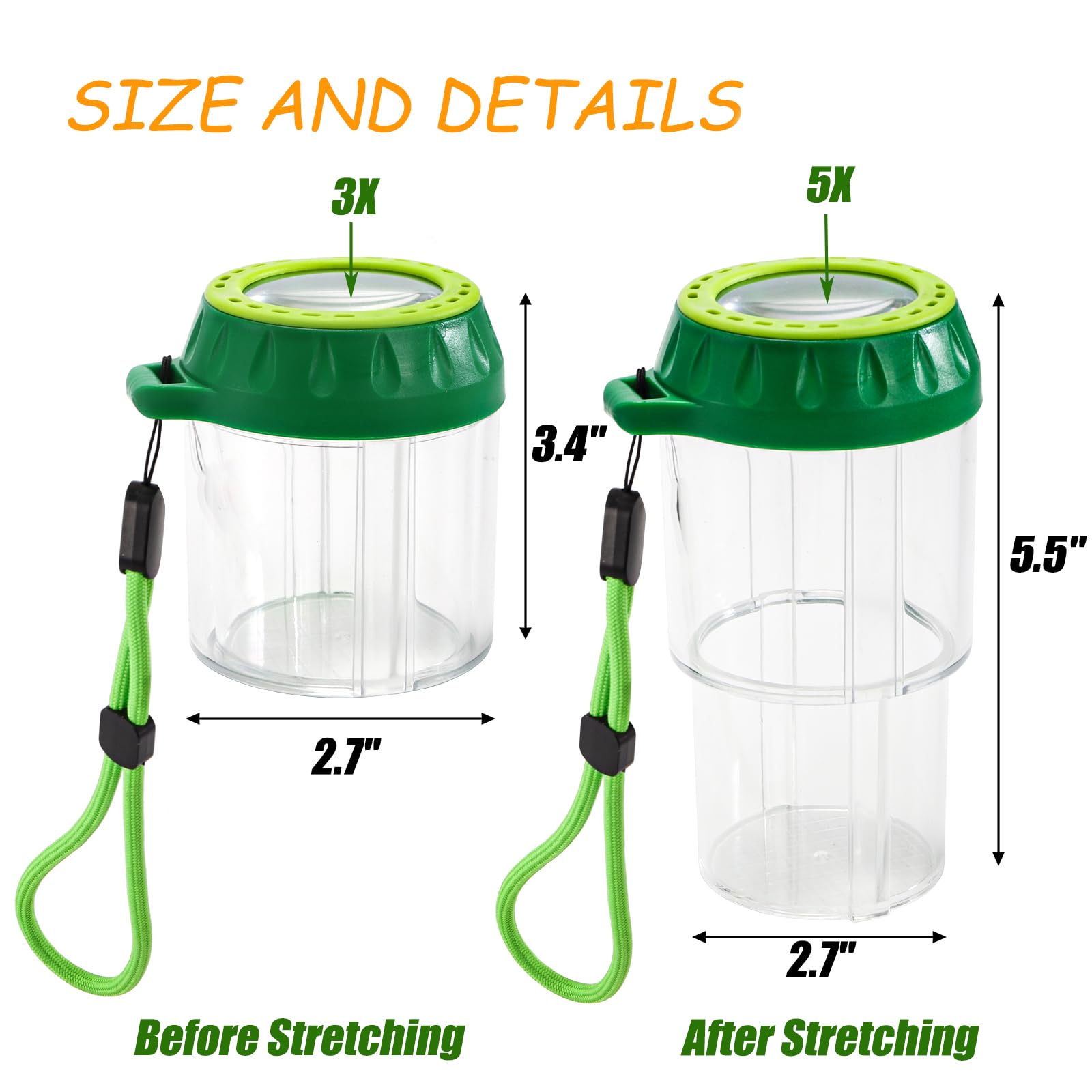 Magnifying Insect Cage Bug Catcher Cage For Kids SKYLETY 10 Pcs Insert Bug Viewer Magnifying ...