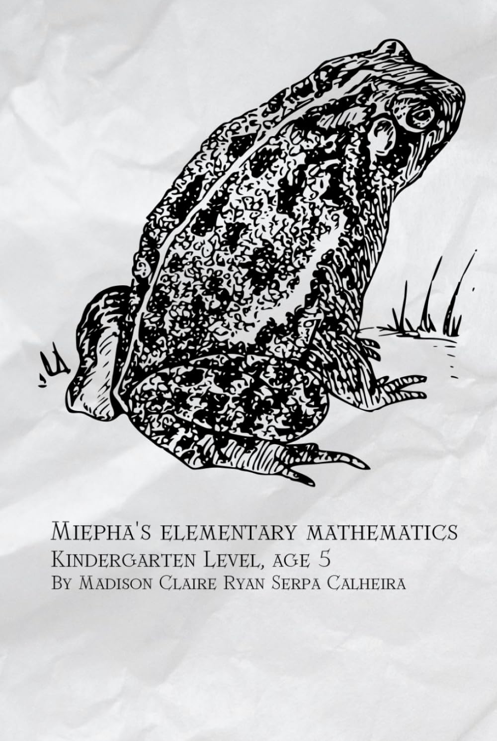 Miepha's Elementary Mathematics: Kindergarten Level, Age 5