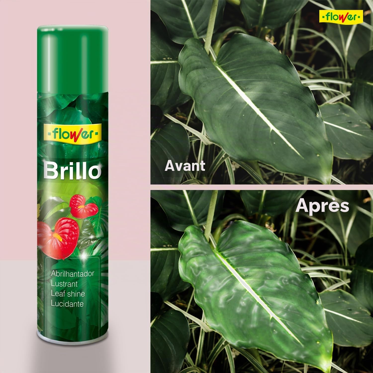 Flower 40501 – Spray Brillance pour Plante Naturelle hypoallergénique