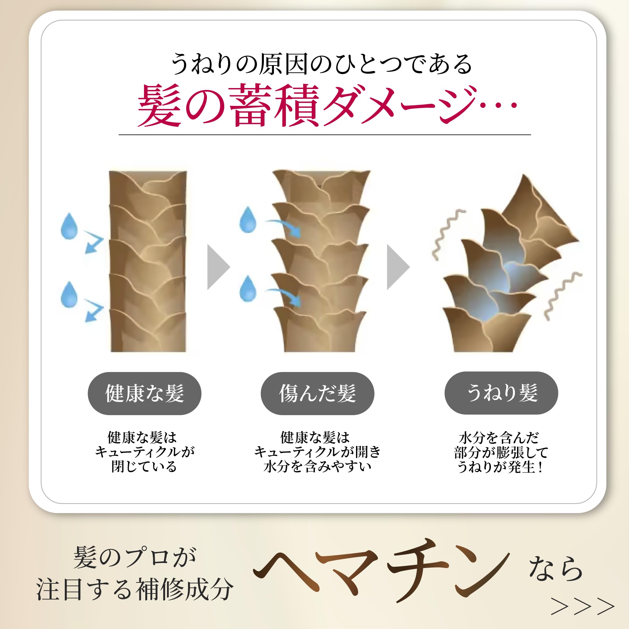 Amazon.co.jp: epo エポプレミアムヘマチンEX 詰め替え エポラ