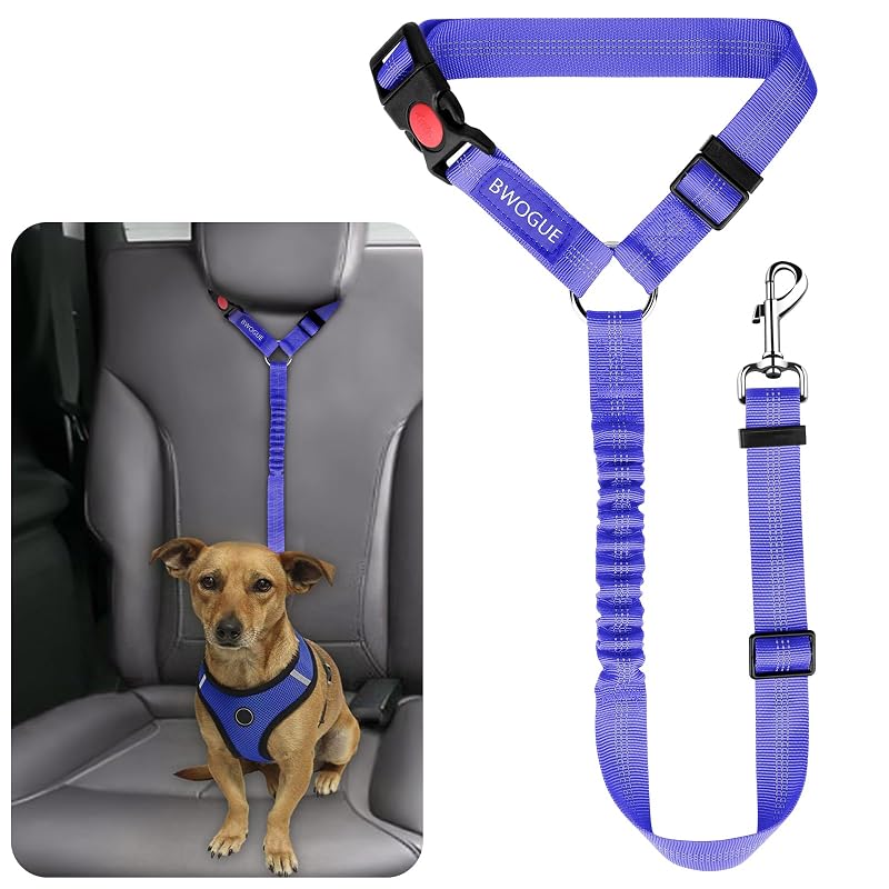 Cinto de Segurança para Cães BWOGUE com Guia Elástica para Encosto de Cabeça, Roxo, Tamanho Grande