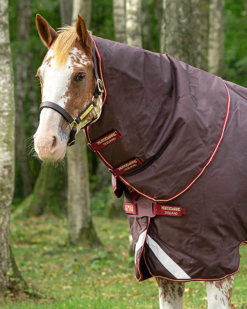 Couverture Horseware Amigo Turnout 1200D marron résistant pour cheval M