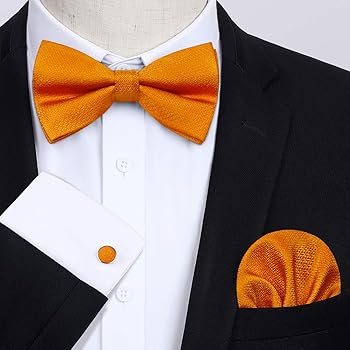 TSHAOUN 3 Pezzi Papillon Uomo,Classico Formale Pre-legato Papillon Regolabile per Uomo e Bambini, Eleganti Cravatta a Farfalla, Farfallino da Smoking per Feste di Nozze Regalo
