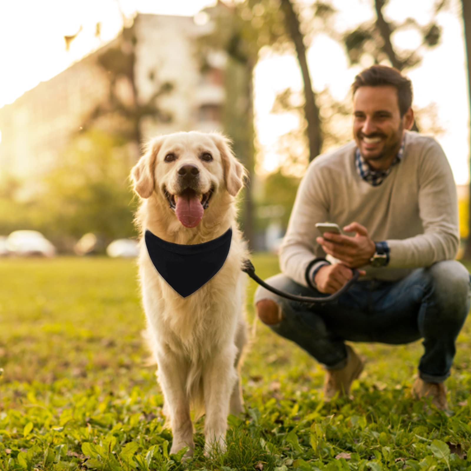 Bandana per animali domestici, 12 pezzi, a forma di triangolo, per cani e gatti, colore: nero