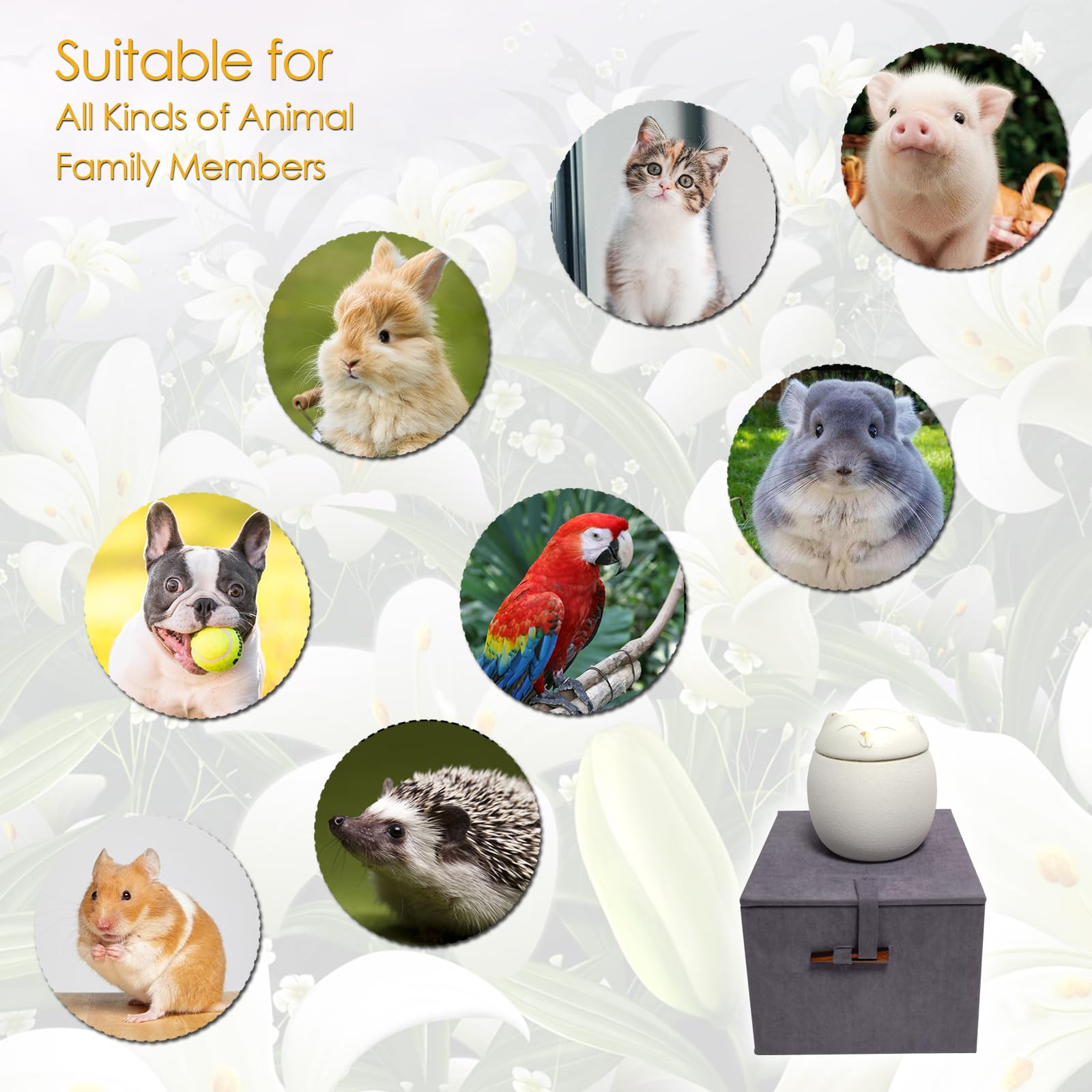 Urna per ceneri di gatto in ceramica opaca, realizzata a mano, idea regalo, bianca, L