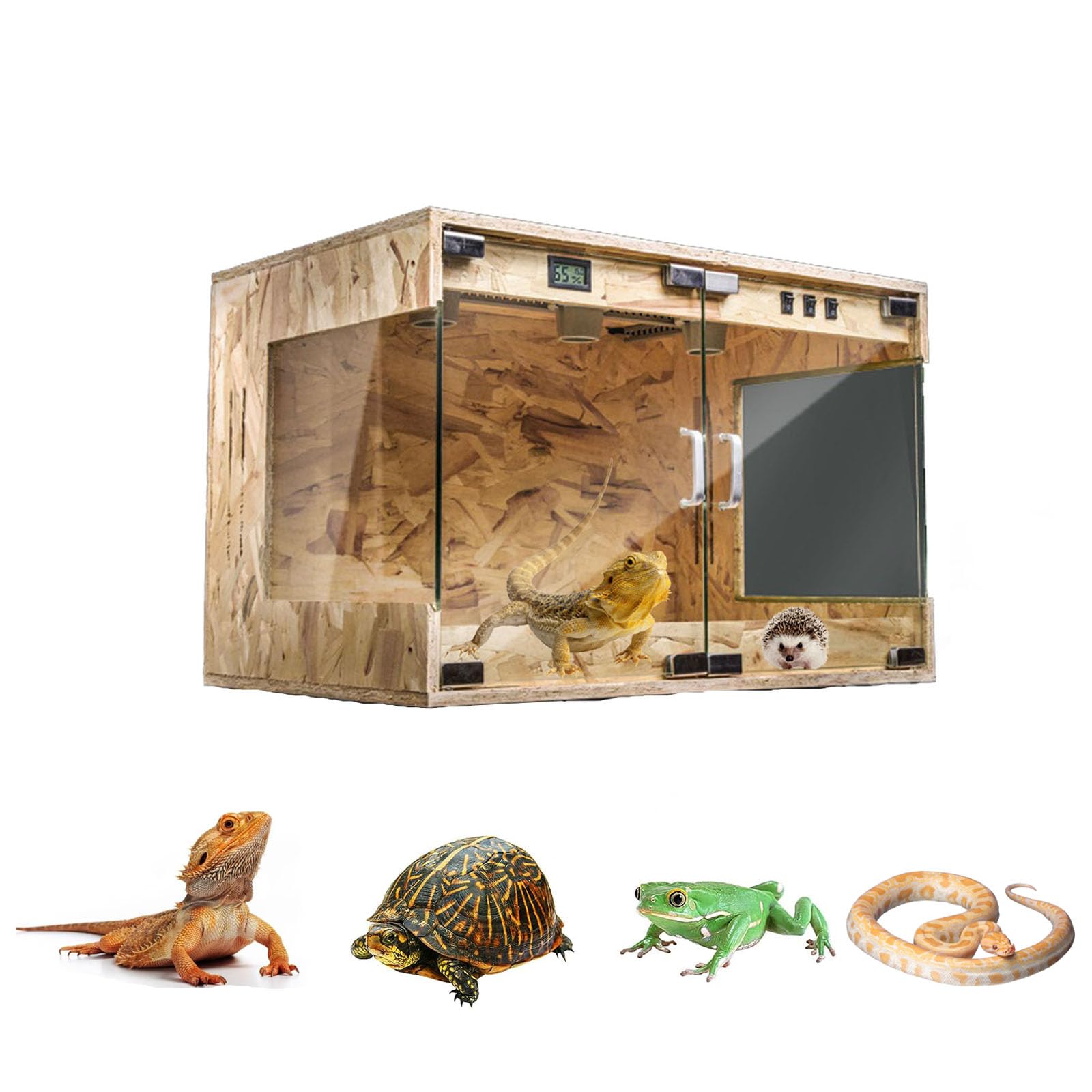 Amazon | Gwufiu 爬虫類ケージ 飼育 ケース 爬虫類 トカゲ 飼育セット  