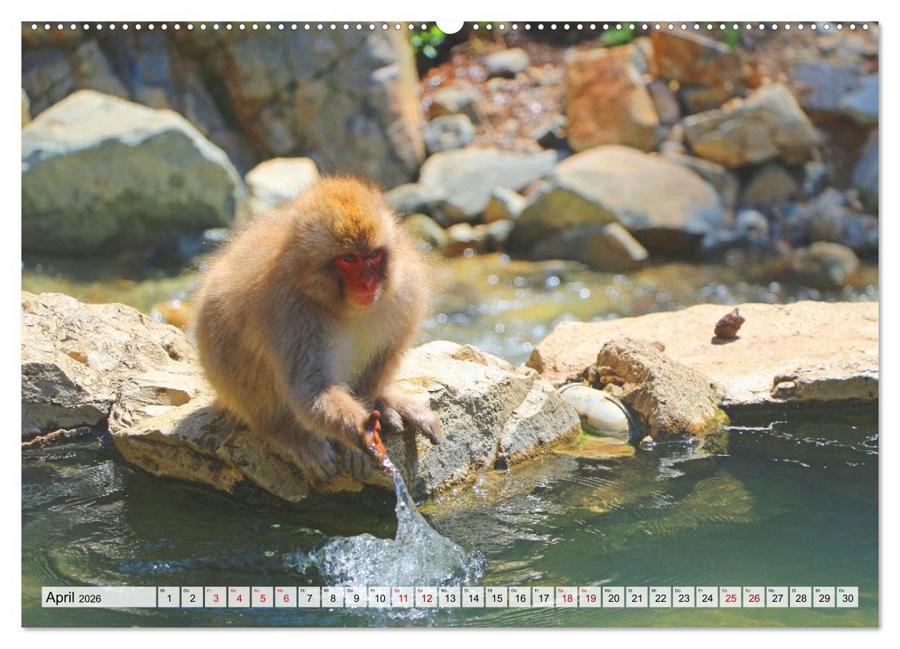 Japan das Land der aufgehenden Sonne (hochwertiger Premium Wandkalender 2026 DIN A2 quer), Kunstdruck in Hochglanz: Japan - zwischen Tradition und Moderne. (CALVENDO Orte)