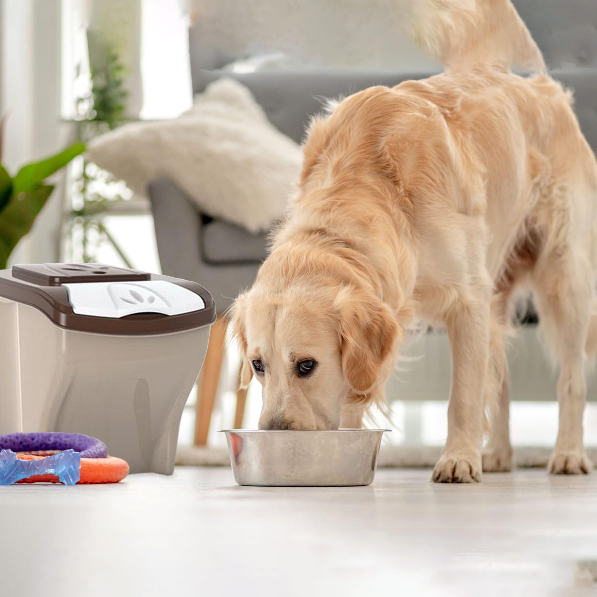 Sicignano | Contenitore Porta Crocchette per Cani Gatti, 3 Pezzi x 20 lt, Portata 3x10 kg, con Coperchio - Igienico, Occupa Poco Spazio - Componibile, Sovrapponibile, Impilabile