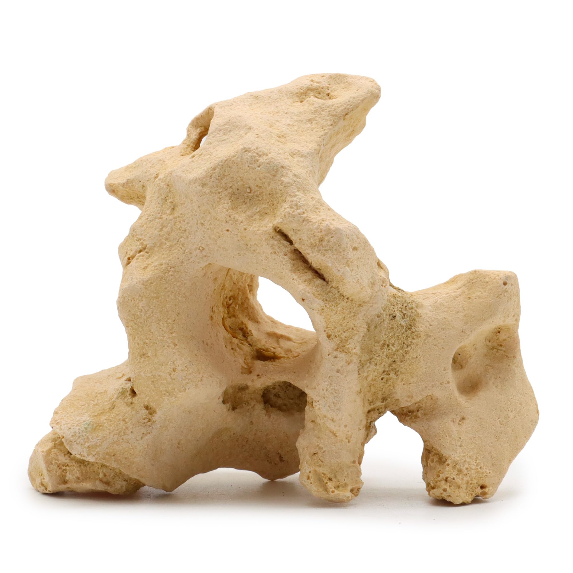 WAVE Rocher de Décoration Roche Gallura pour avec Trou Aquariophilie Beige Taille S