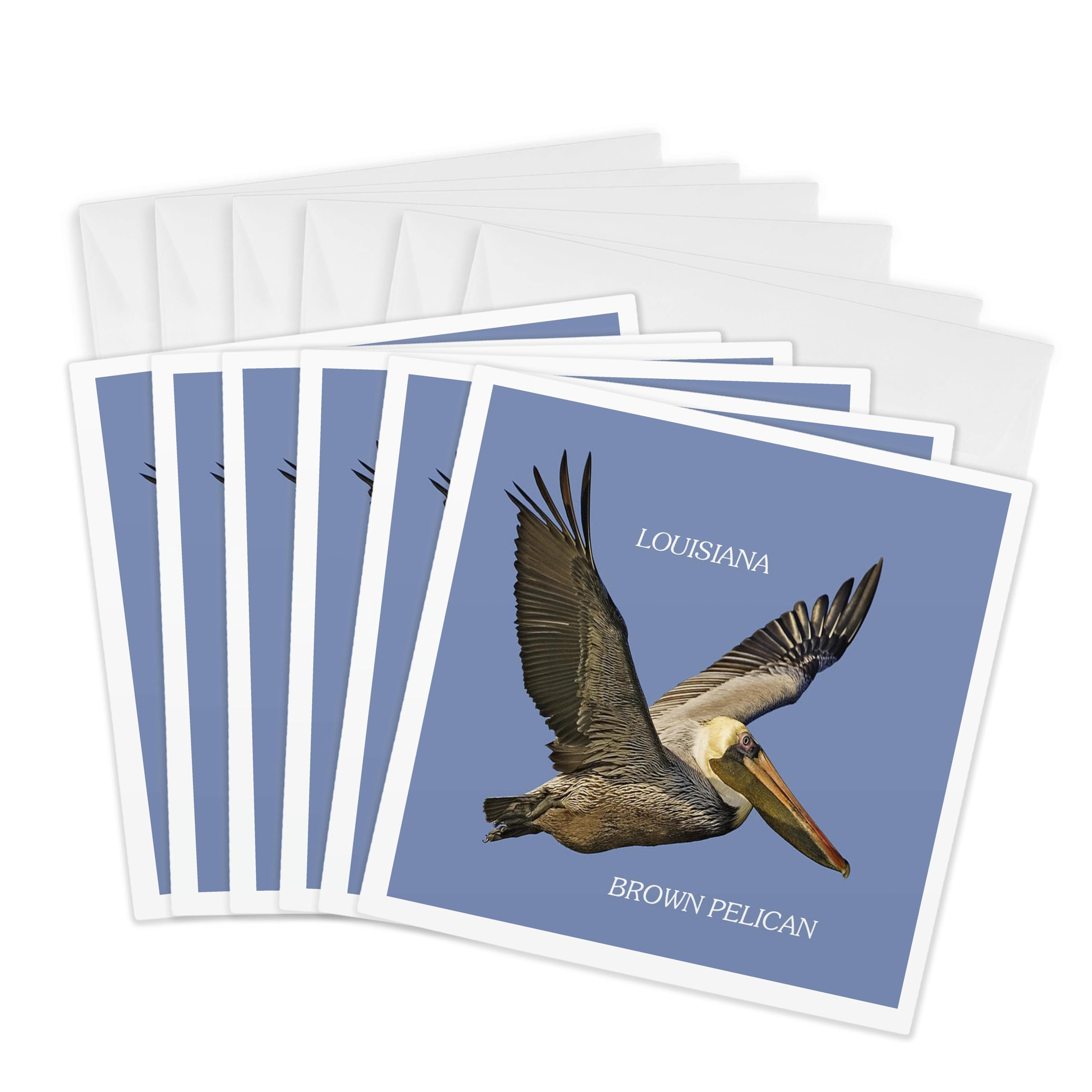 3dRose Greeting Cards - State Bird Of Louisiana Brown Pelican - 6 Pack - State Birds