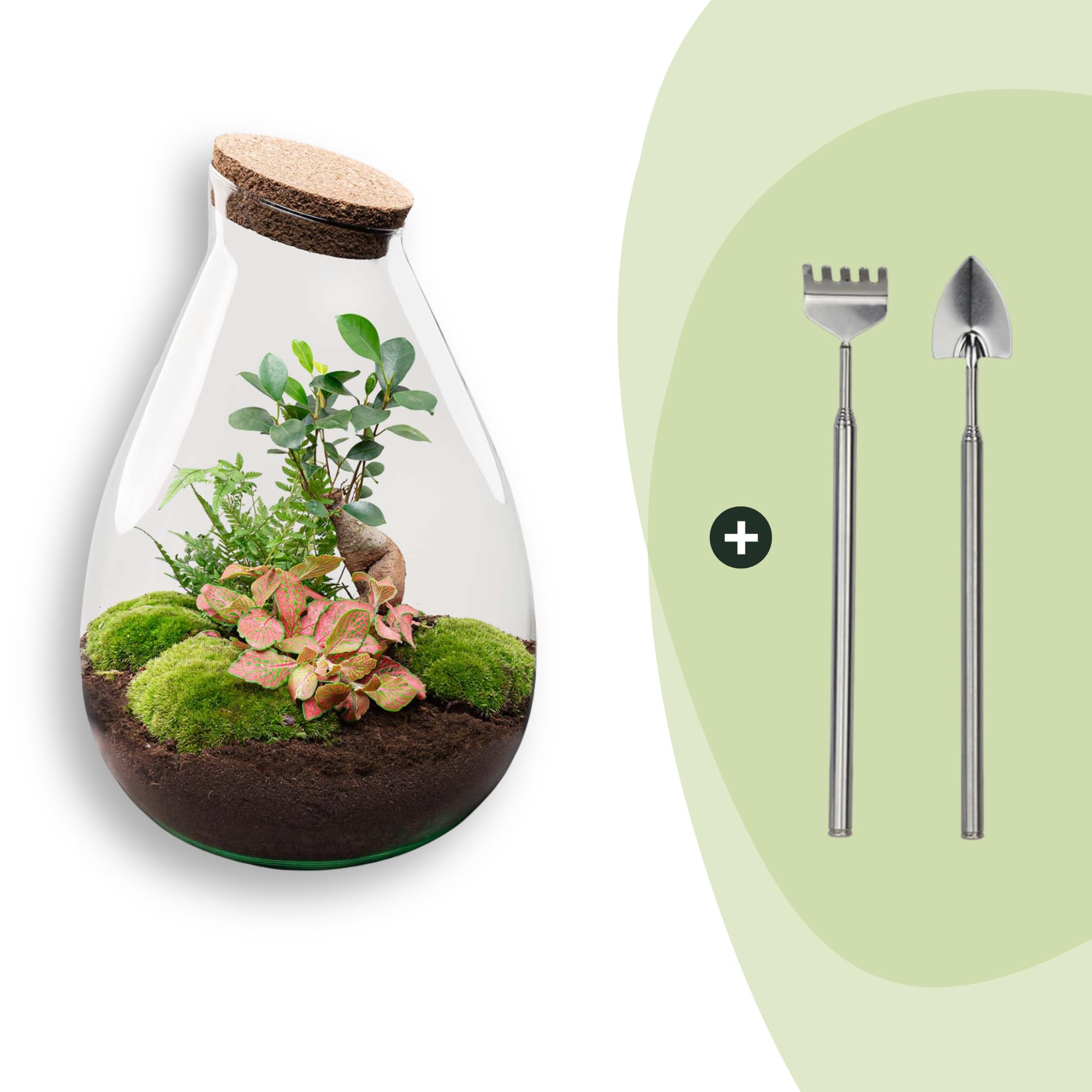 DIY Pflanzen-Terrarium aus Glas, Flaschengarten Set, Rot, Ø 29 x 37 cm