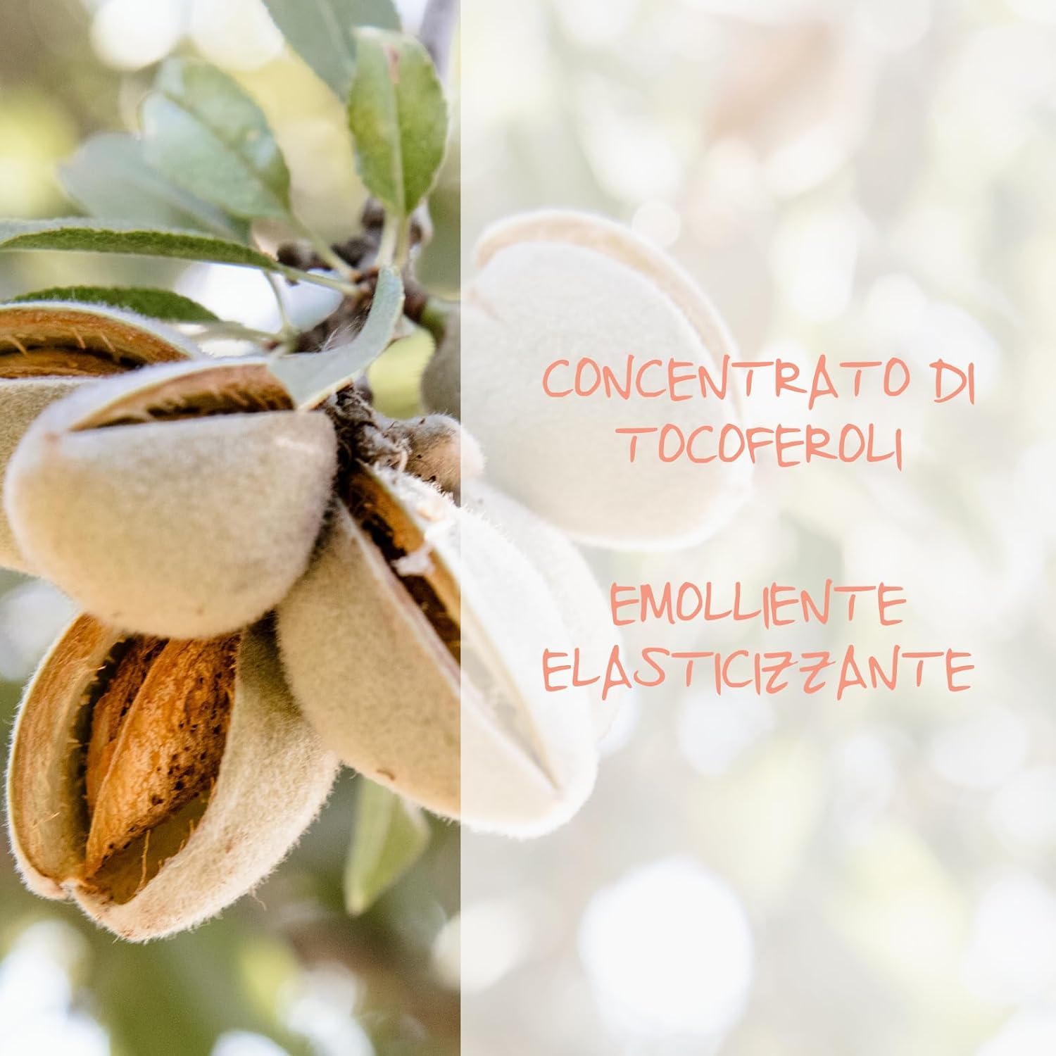 Omia, Fisio Shampoo con Olio di Mandorla della Sicilia, per Capelli e Cute Sensibile, Formula Delicata, Shampoo per Lavaggi Frequenti, Senza Siliconi e SLES, 4 Flaconi da 200 ml