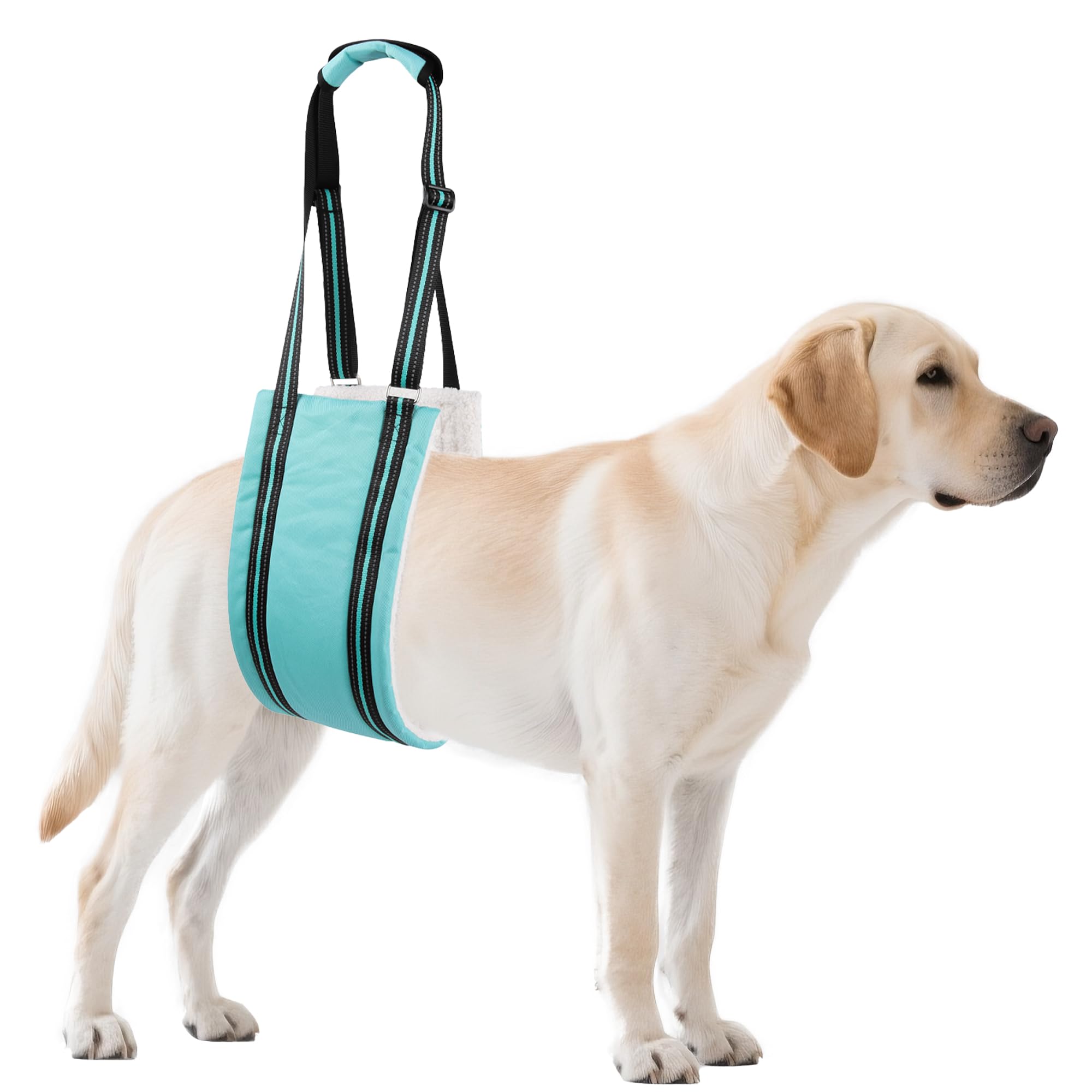 AIITLE Heavy-Duty Dog Lift Harness - Adjustable Hind Leg Support Sling for Elderly/Disabled Dogs, Orthopedic Rehab Aid with Plush Padding & Reflective Straps, Helps Stairs/Car Access (Turquoise, XL) — image 1