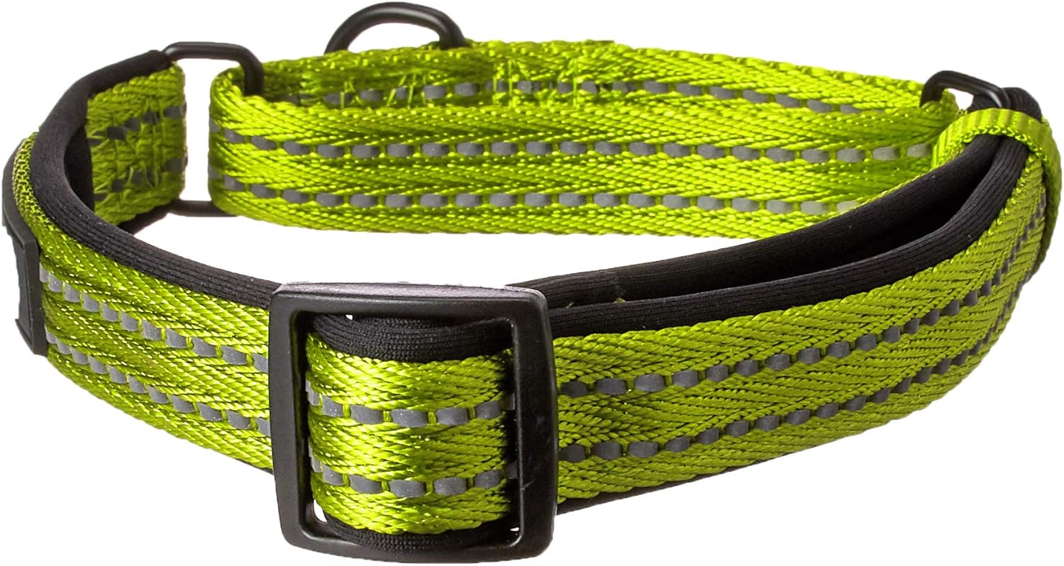 alcott Martingale Collar with Reflective Stitching & Neoprene Padding, Medium, Green