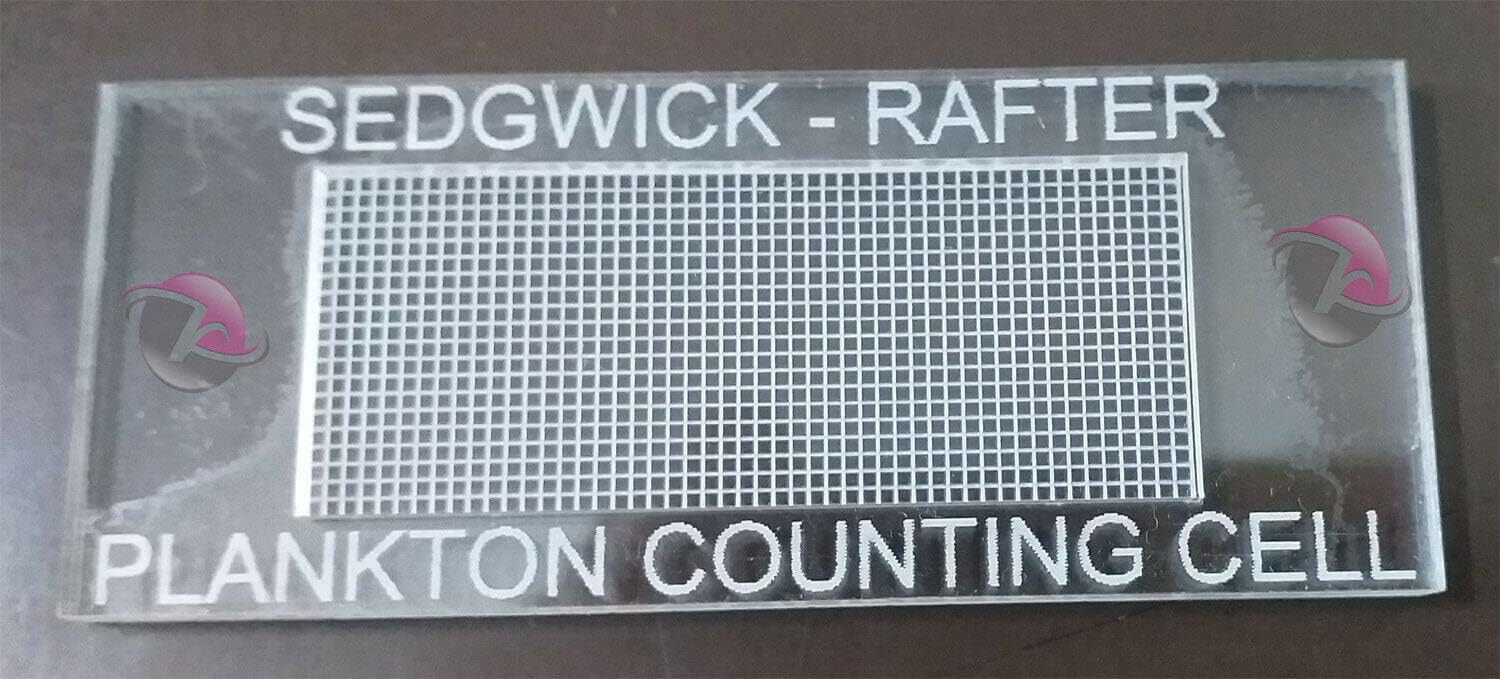 Sedgewick Rafter Counting Chambers