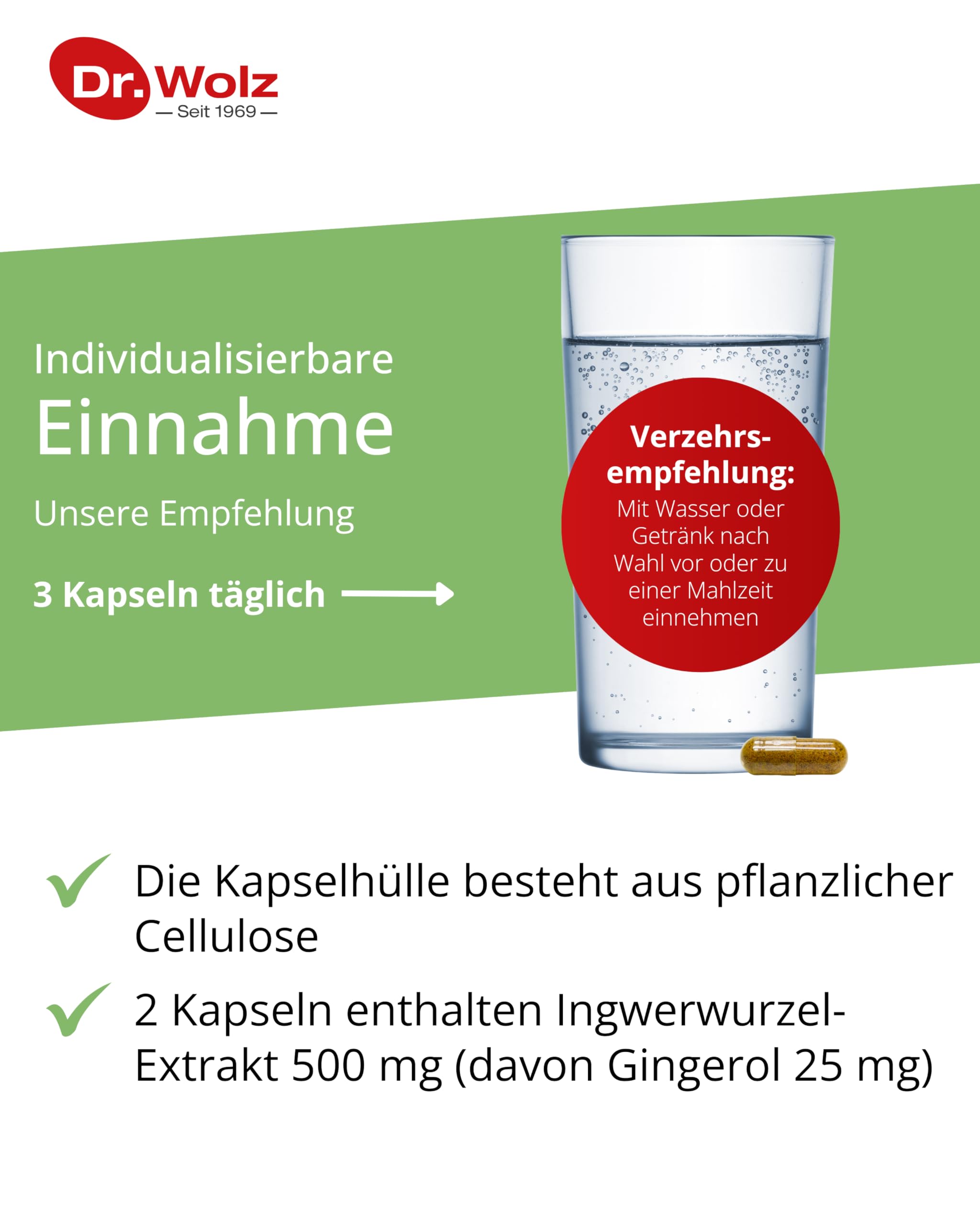 Dr. Wolz Ingwer-Extrakt Kapseln, mit einem hohen Anteil an Gingerol aus 500mg Ingwerwurzel-Extrakt, Rückstandskontrolliert und deutsche Herstellung, 120 Kapseln