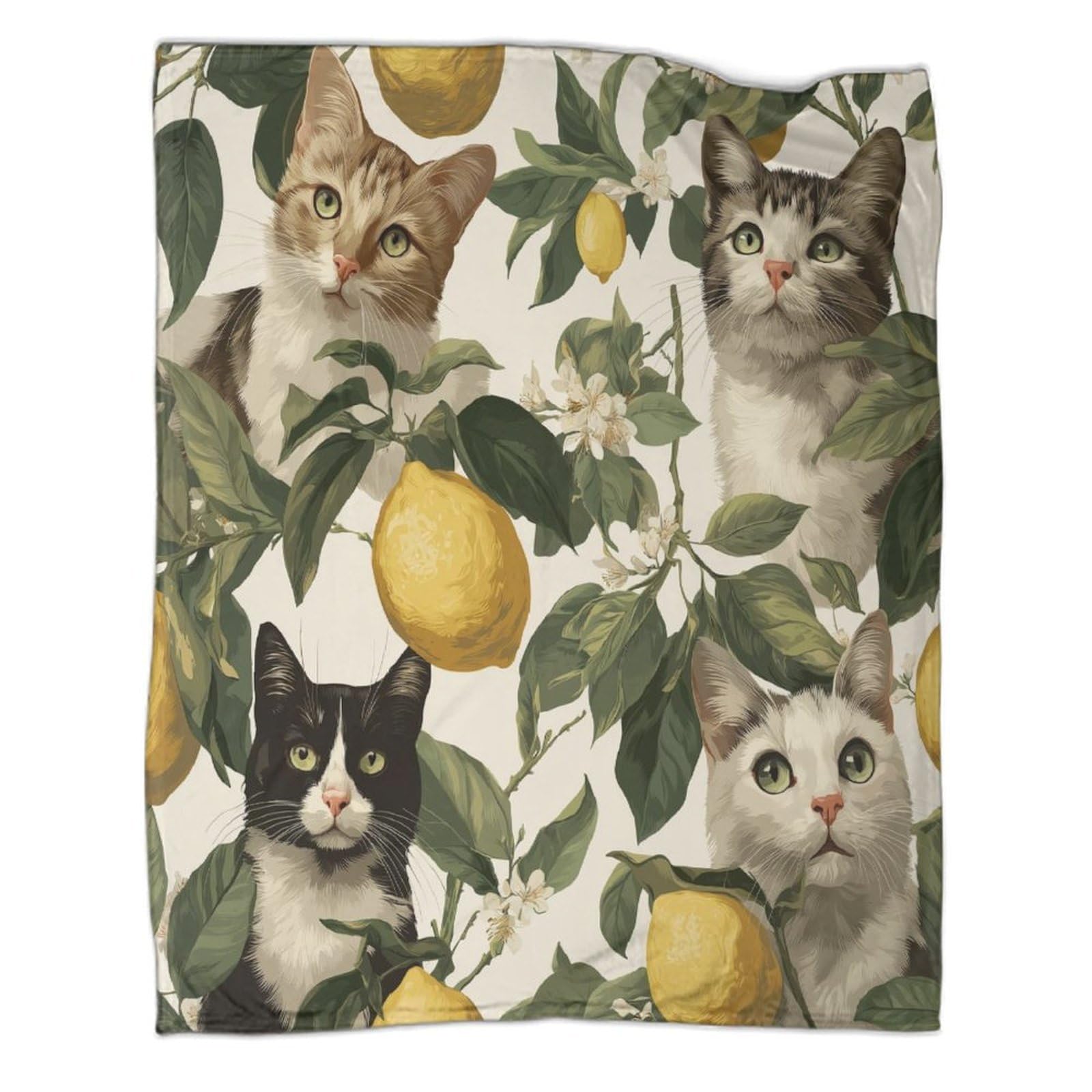 kaiyun Cat And Lemon Pattern Outdoor Camping Printed Soft Breathable Warm Blanket Four Seasons Bedroom Bedspread 80x90inch(200x230cm)