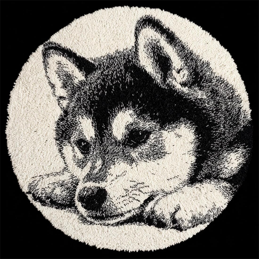 Rqwybcaxn DIY Latch Hook Rug Kit for Beginners Animal Crochet Starter Kit Shiba Inu Portrait 60x60cm Round Pre-Printed Mesh Fabric Carpet Bedroom Home Decor