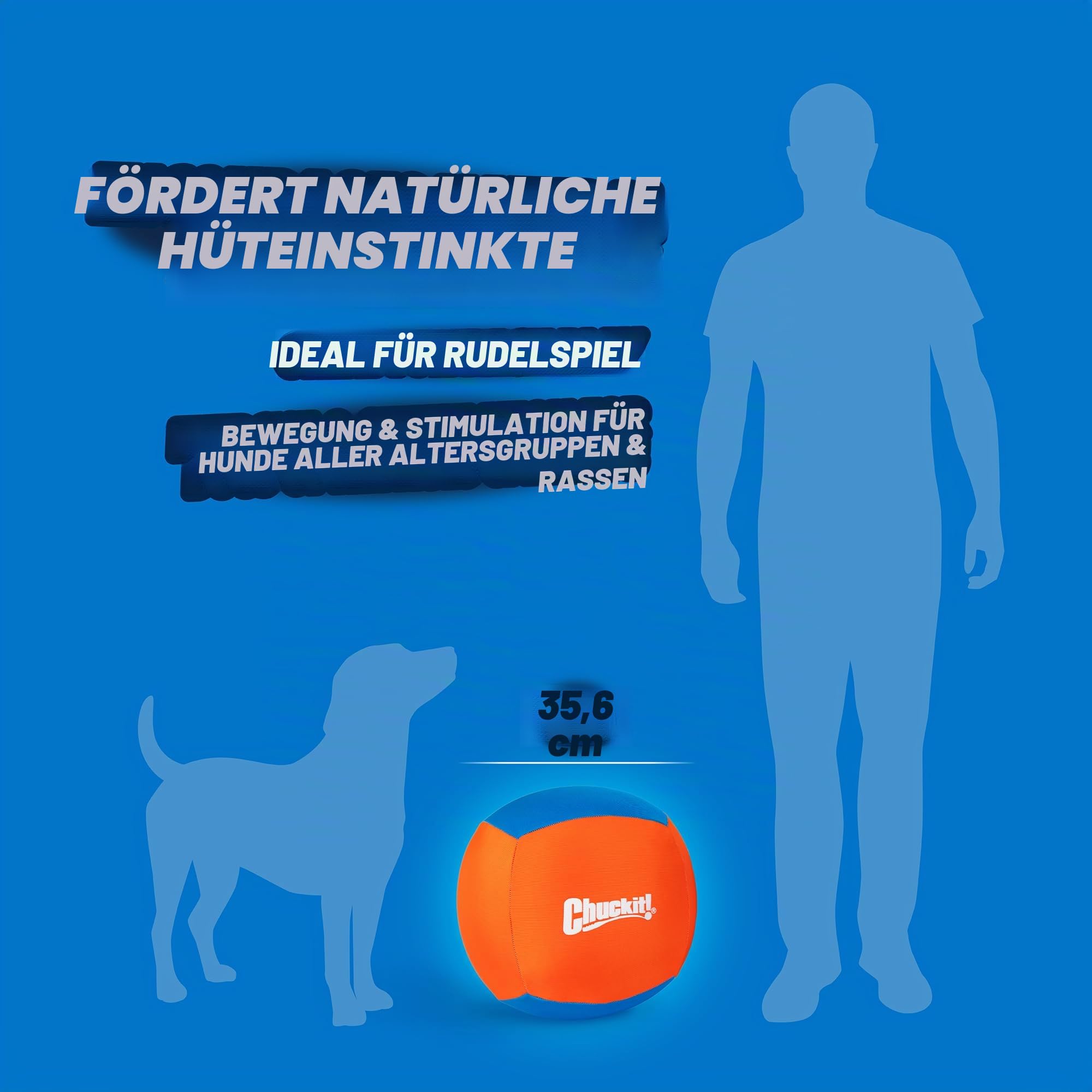 Chuckit! Big Air Fetch Ball Hundespielzeug, 35,6 cm, für Herdeinstinkt, für interaktive, Nicht kauende Aktivitäten, für alle Rassen, Aufblaspumpe inklusive