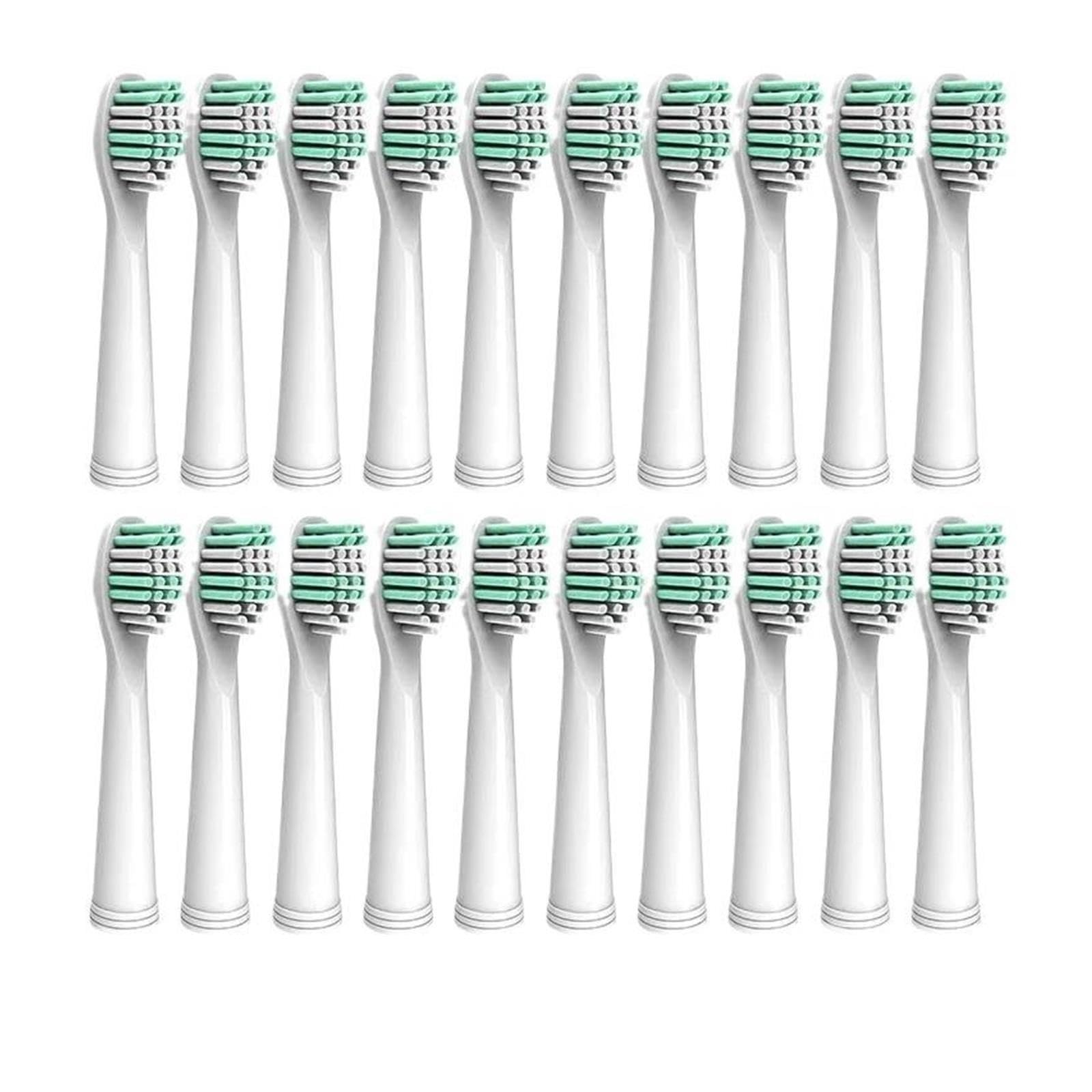 Testine Di Ricambio, Compatibile Con Seago, E1/E2/E3/E4