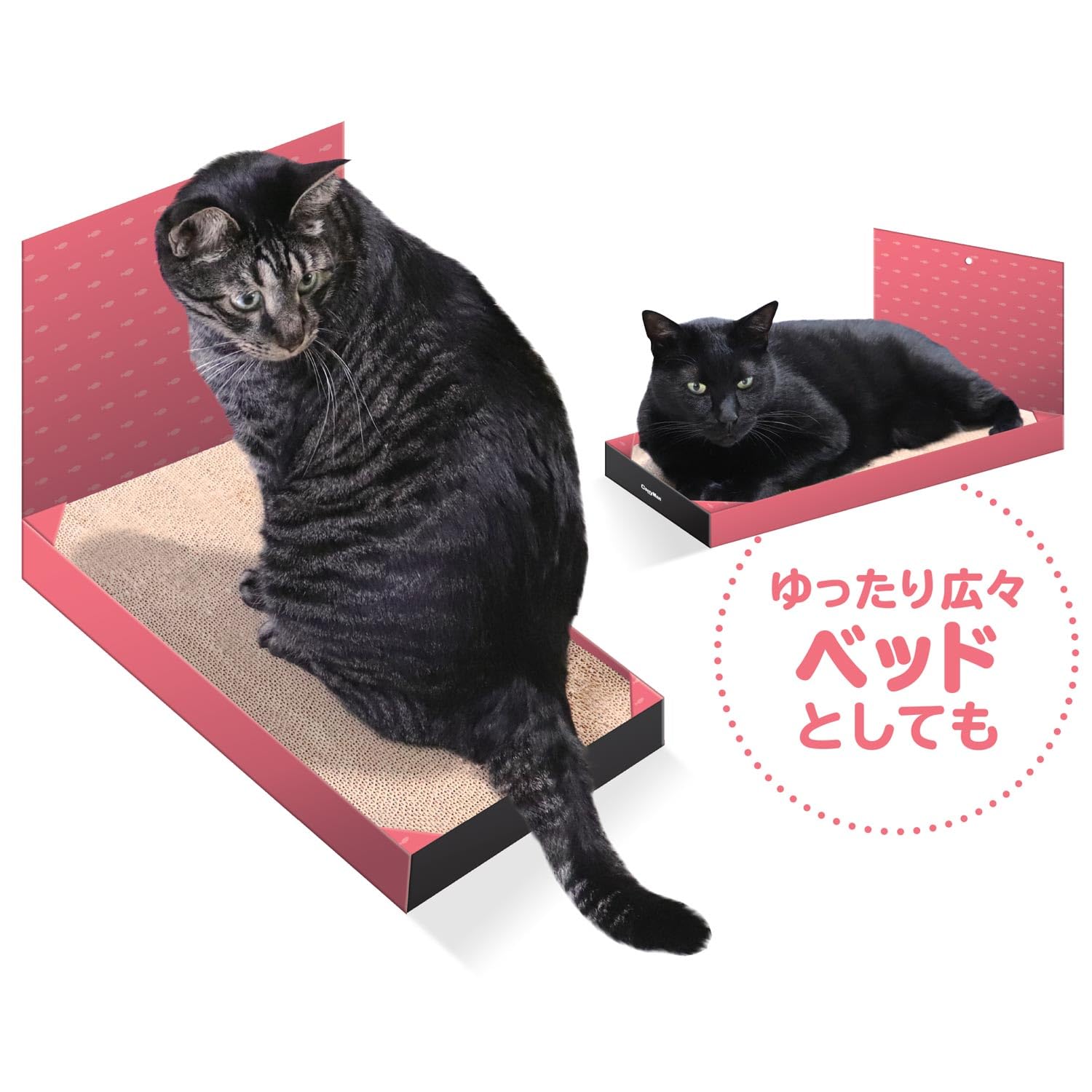 つめみがき Amazon | キャティーマン (CattyMan) スッキリつめみがきワイド 猫用