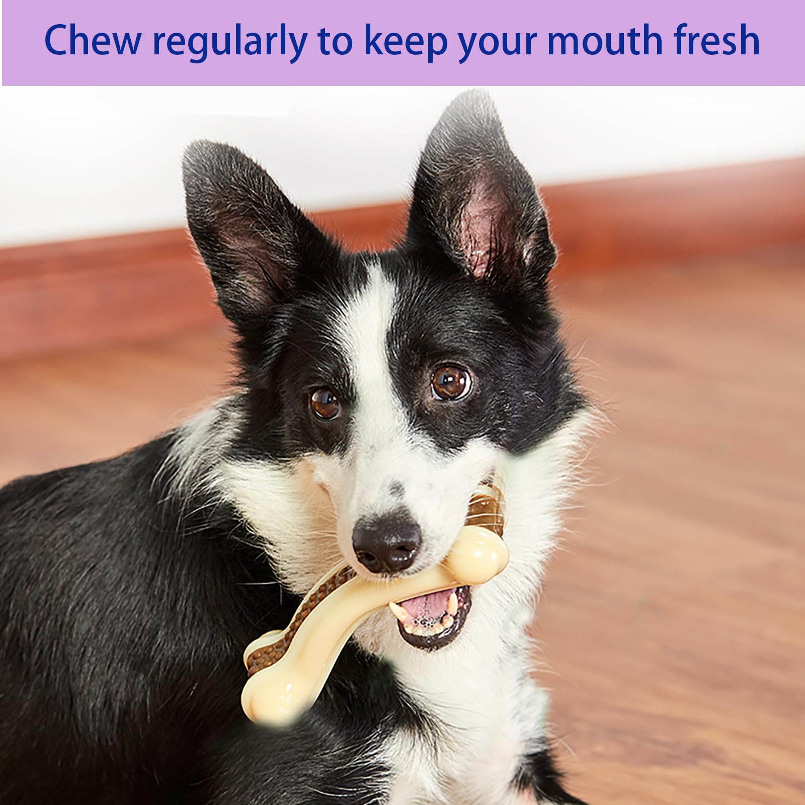 Lot de 8 os à mâcher pour chiens agressifs, véritable saveur de bœuf, jouets à mâcher indestructibles pour chiens de grande/moyenne/petite race, jouet robuste avec nylon durable