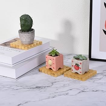 710wZT2-cBL._AC_UF350,