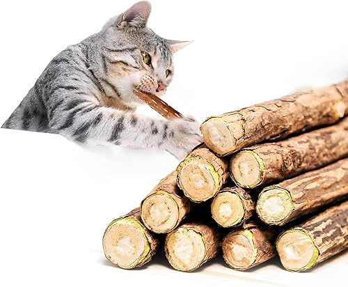 Palito masticable para gatos, palitos de vid plateada para gatos, juguetes de hierba gatera, vid plateada, matatabi, juguete molar de dientes de