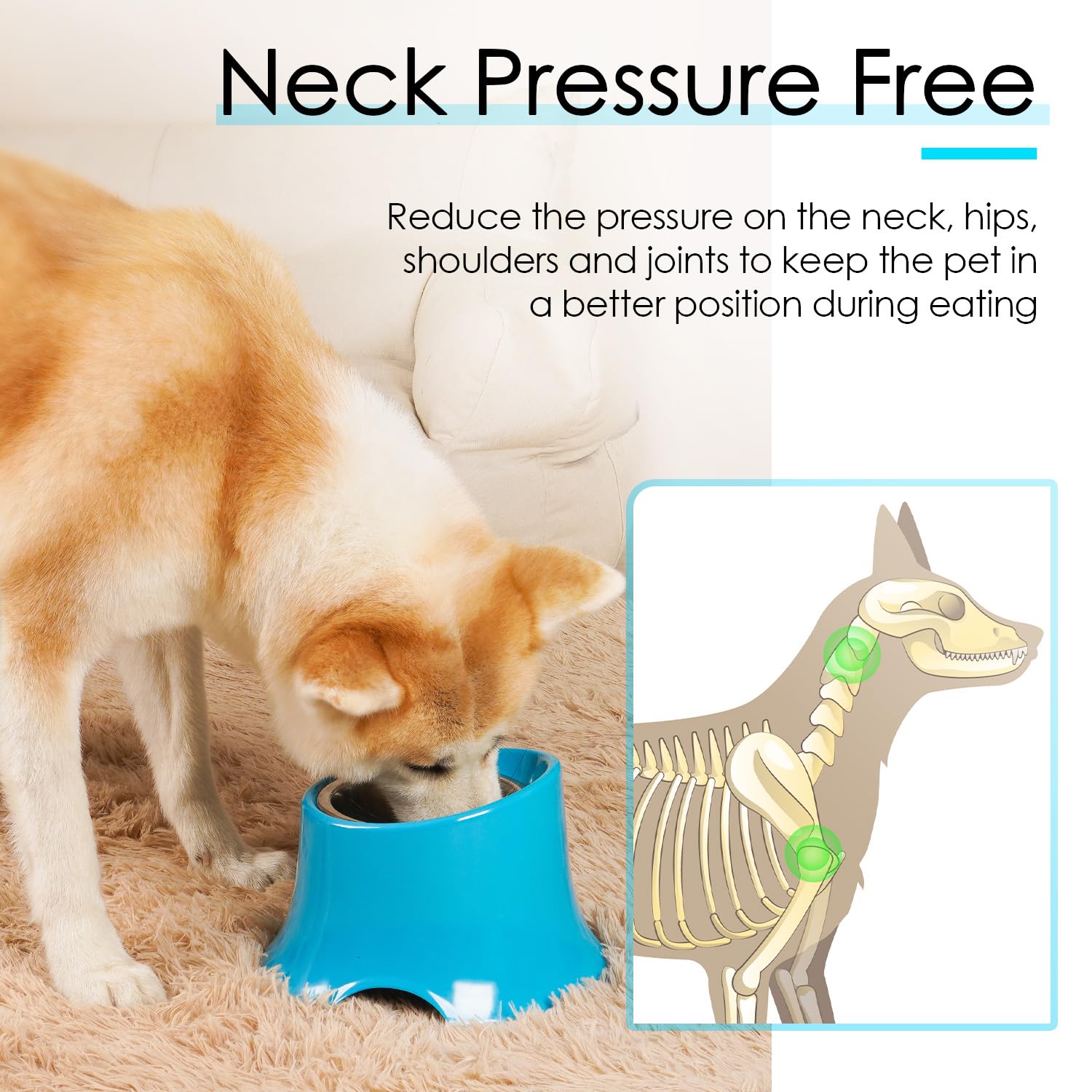 Super Design Comedero elevado para perros para comida y agua, pequeño, color azul
