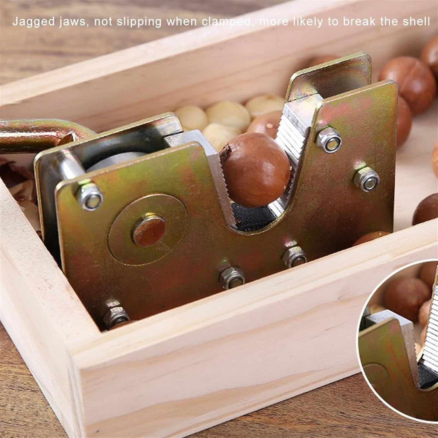 Casse-noix robuste avec pince réglable et boîte cadeau en bois, tranchant et facile à utiliser pour noix, noix de pécan, macadamia, noisettes et châtaignes